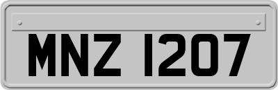 MNZ1207