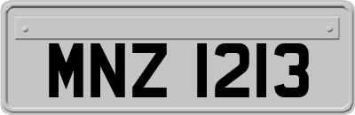 MNZ1213