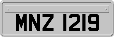 MNZ1219