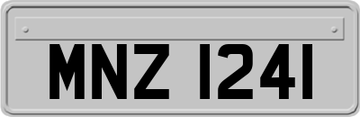 MNZ1241