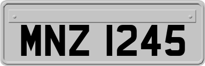 MNZ1245