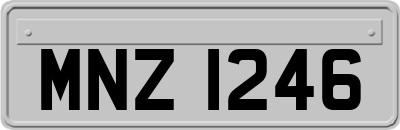 MNZ1246