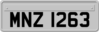 MNZ1263