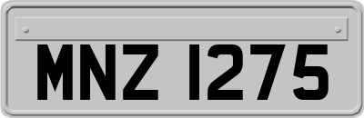 MNZ1275