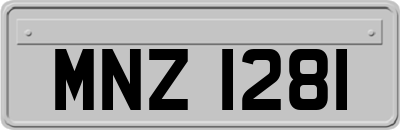 MNZ1281