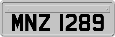 MNZ1289