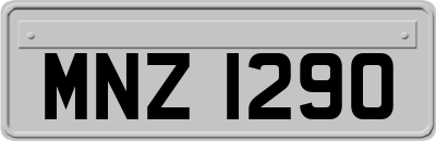 MNZ1290