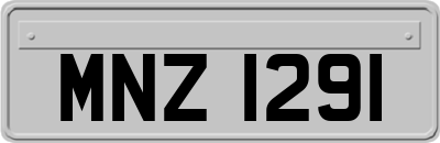 MNZ1291