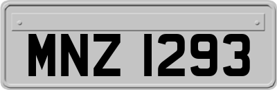 MNZ1293