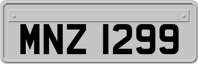 MNZ1299