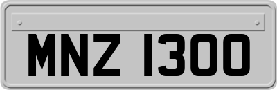 MNZ1300