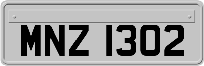 MNZ1302