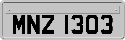 MNZ1303
