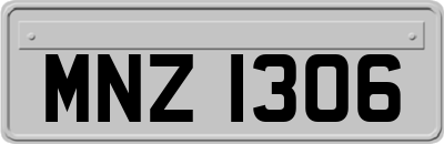 MNZ1306