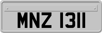 MNZ1311
