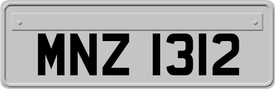 MNZ1312