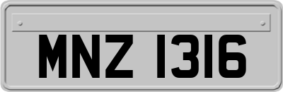 MNZ1316