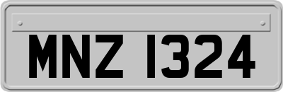 MNZ1324