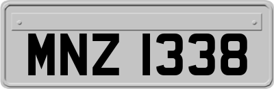 MNZ1338