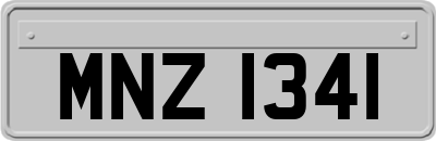 MNZ1341