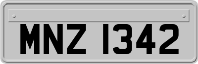 MNZ1342