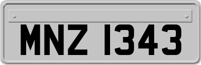 MNZ1343