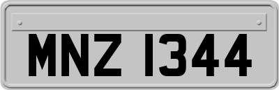 MNZ1344