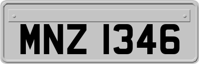 MNZ1346