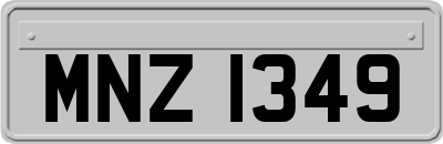 MNZ1349