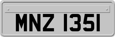 MNZ1351