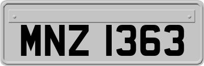 MNZ1363