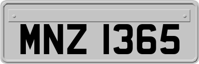 MNZ1365