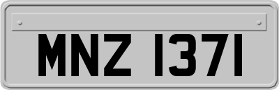 MNZ1371