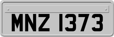 MNZ1373