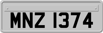 MNZ1374
