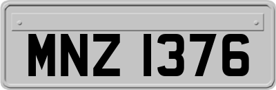 MNZ1376
