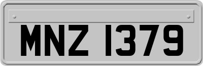 MNZ1379