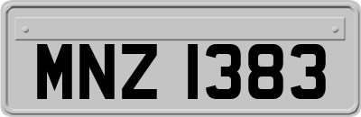 MNZ1383