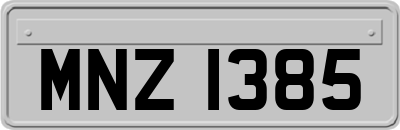 MNZ1385