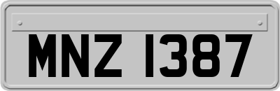MNZ1387