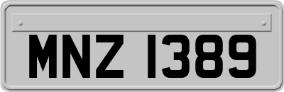 MNZ1389