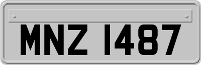 MNZ1487
