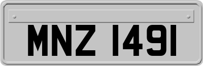 MNZ1491
