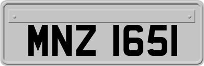 MNZ1651