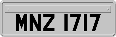 MNZ1717