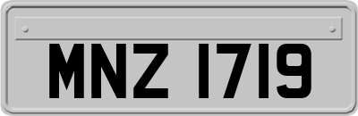 MNZ1719