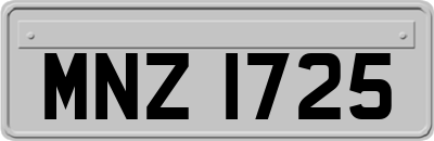 MNZ1725