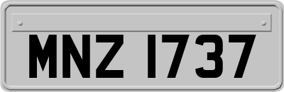 MNZ1737