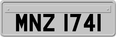 MNZ1741