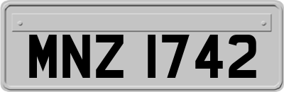 MNZ1742